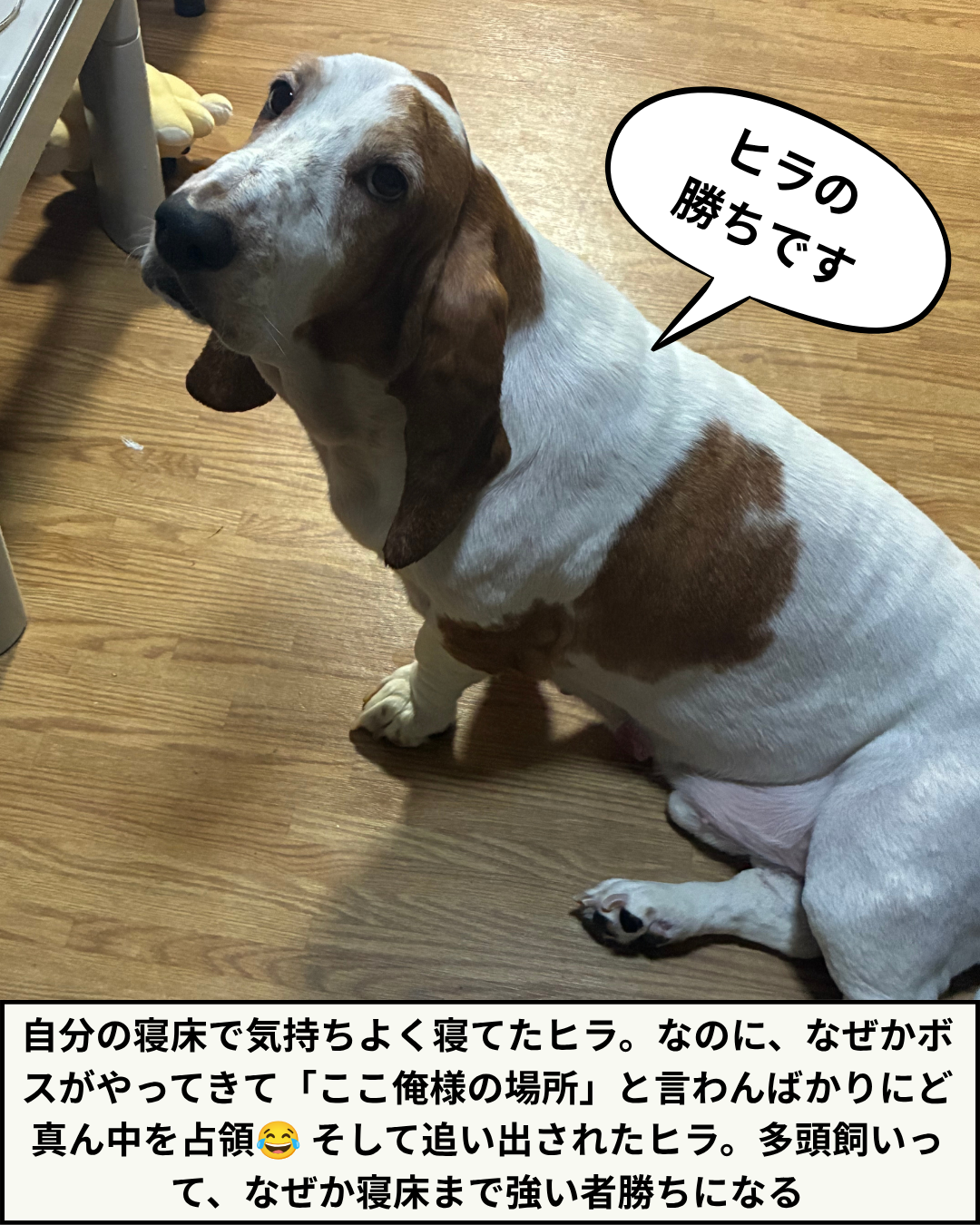 漫画 8枚目