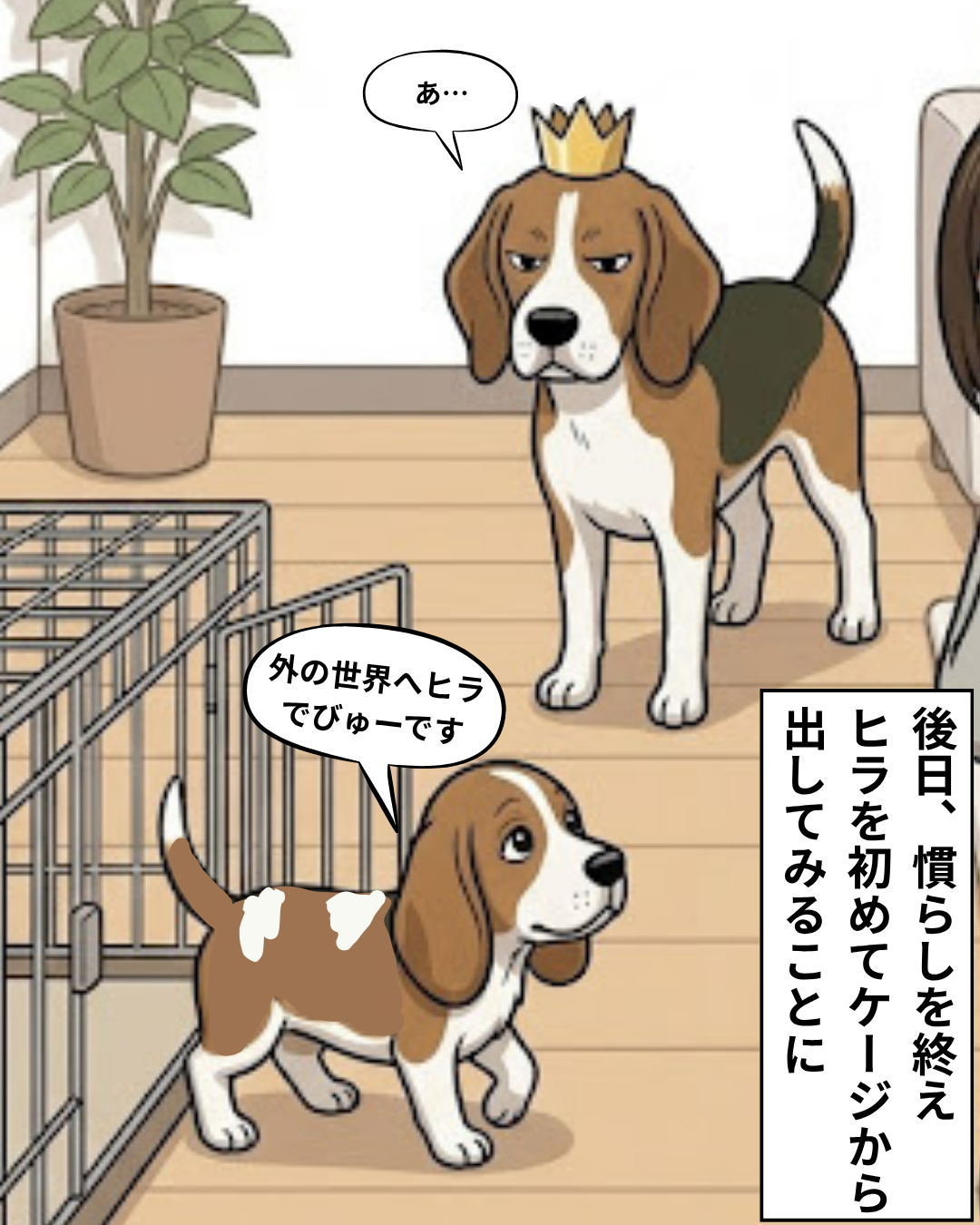 漫画 5枚目